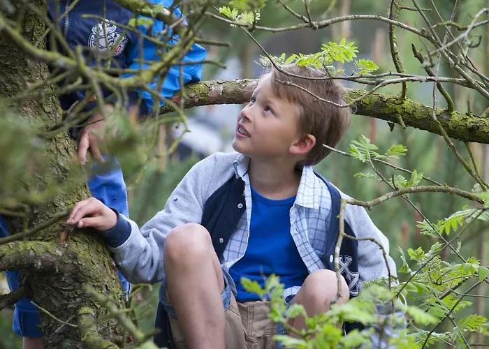 Landal Seawest Nymindegab 酒店 Nørre Nebel